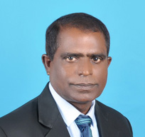 Team Member 2